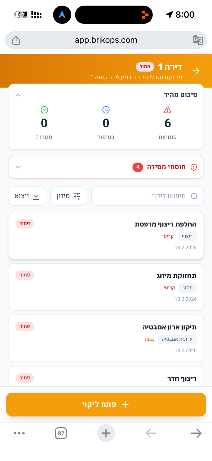 רשימת ליקויים